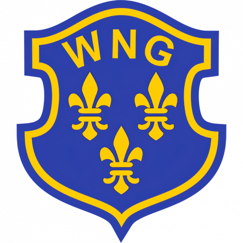 wng_logo_v01